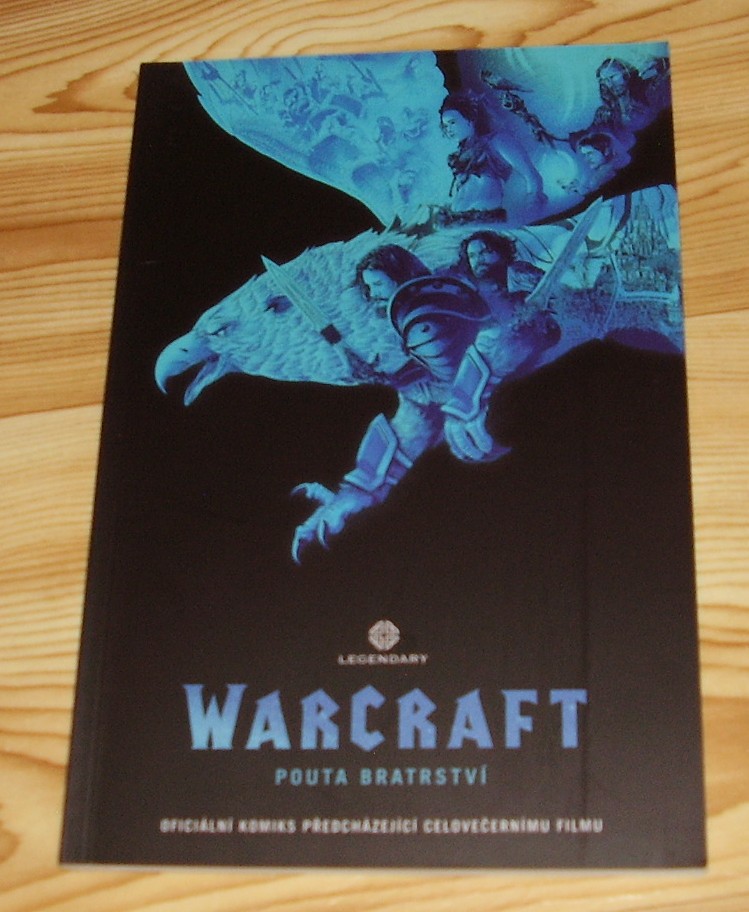 Warcraft: Pouta bratrství
